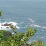 鳥羽パールロード